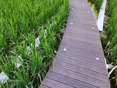 -证大喜玛拉雅中心