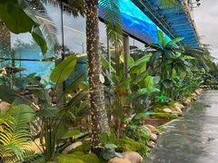 -驻海渔市(置信店)