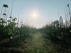 -扬州天乐湖嬉乐谷
