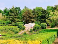 -莫子山公园