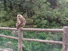 -峨眉山风景名胜区