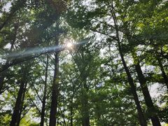 -阳台山自然风景区