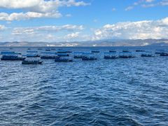 -抚仙湖禄充风景区