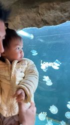 -Zoolung Zoolung动物主题公园(海信广场店)