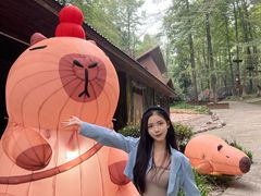 -石燕湖生态旅游景区