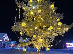 -北极村旅游风景区