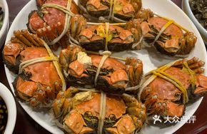 Two Female Crabs