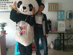 -熊猫不走生日蛋糕(东城店)