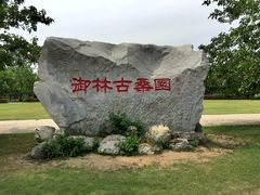 -御林古桑园
