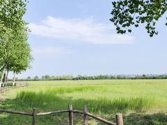 -汉长安城未央宫国家考古遗址公园