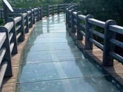 -东寨港红树林旅游区