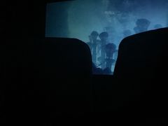 -金棕榈新百世纪影城