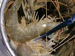 -半岛听涛蒸汽海鲜自助(K11店)