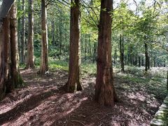 -山王坪喀斯特国家生态公园