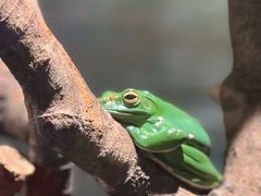 -正佳雨林生态植物园