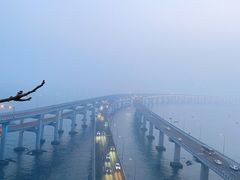 -星海湾跨海大桥