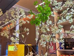 -新美姿美食水疗汇(罗湖口岸店)