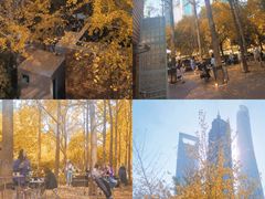 -陆家嘴中心绿地