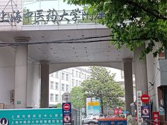 -上海市普陀区中心医院