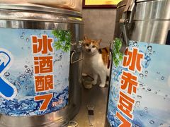 -晓马鸭店(新芜路店)