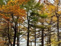 -长春市南湖公园