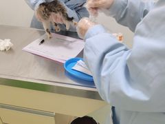 -汪喵宠物医院·骨科心脏影像·犬猫急重症ICU诊疗中心(成华分院)