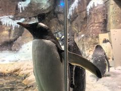 -哈尔滨波塞冬海底世界