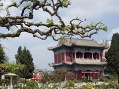 -水邑嘉年华酒店·中餐部(鄄城店)