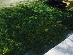 -竹泉村旅游度假区