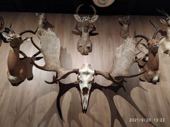 -陕西自然博物馆