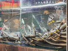 -本炙炭烤·蒲烧活鳗料理店(金沙洲店)