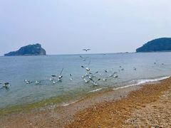 -棒棰岛宾馆景区