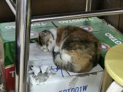 -坤记煲仔小菜(西环店)