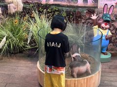 -正佳雨林生态植物园