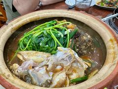 -华仔土鸡店(南洲分店)