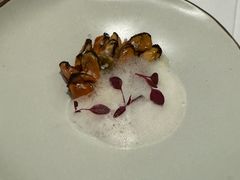 -蝶舍·MAISON PAPILLON