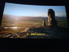 -AMG海上明珠影城(上海环球港RealDCinema店)