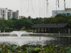 -映月湖公园