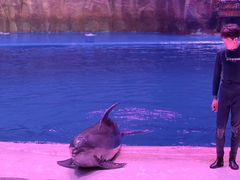 -华夏文旅海洋公园