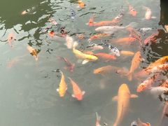 -檀园