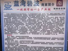 -蓝湾碧波·老字号·疍家非遗海上餐厅