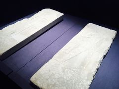 -浙江西湖美术馆