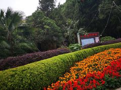 -赭山公园