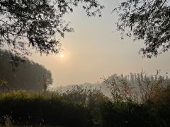 -马家湾湿地公园