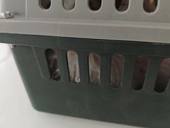 -全心全意连锁动物医院·微创中心·内科急重症·心脏专科(丰管路店)
