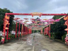 -都江堰玫瑰花溪谷