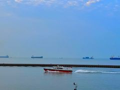 -南汇嘴观海公园