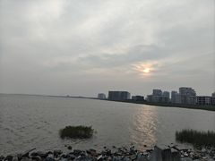-碧海金沙
