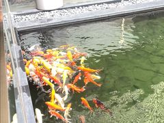 -太子园林酒家