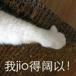 -IN STYLE·全国形象店